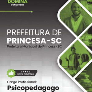 Apostila Psicopedagogo Princesa SC 2026